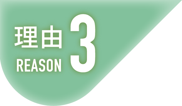理由3 REASON