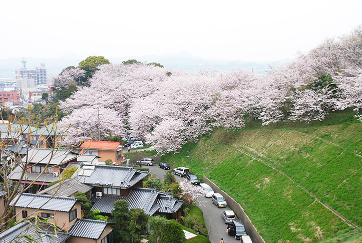 糸島よかとこ発見記８ 福岡パンフレット 社員ブログ