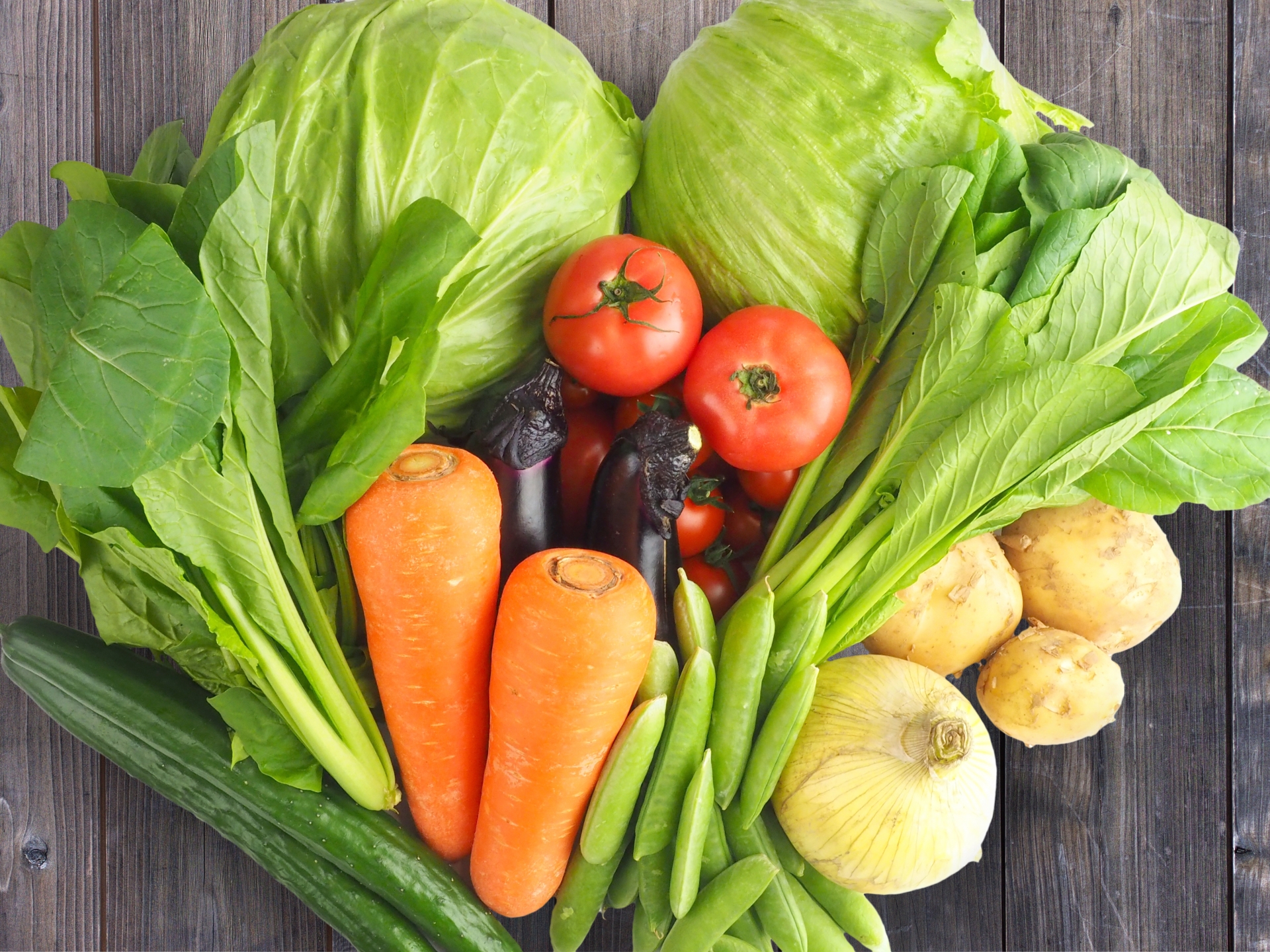 野菜嫌いのはずが無性に野菜が食べたい矛盾 福岡パンフレット 社員ブログ