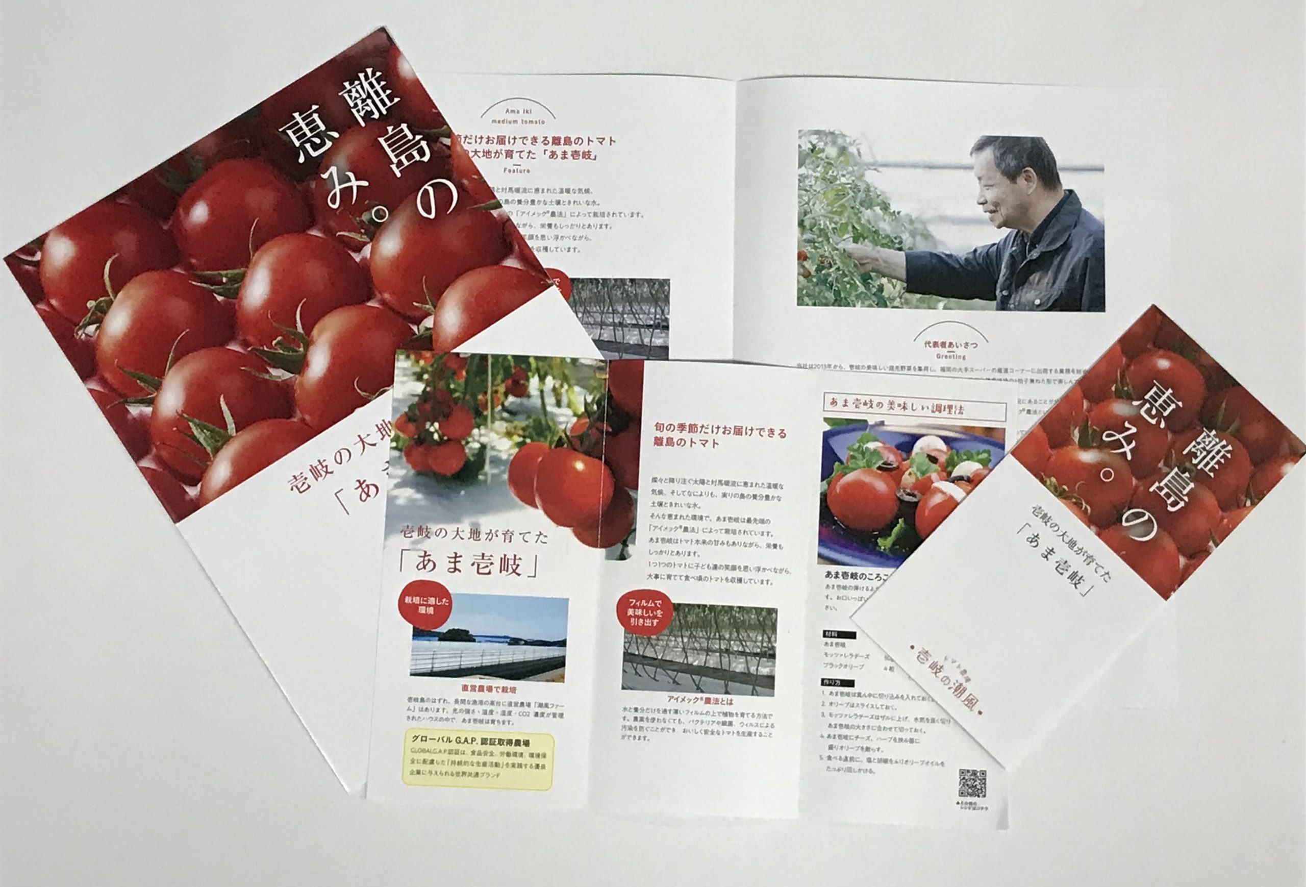 ARASHIパンフレットセット❣️6冊　au 映画パンフレットおまけ❣️ ARASHI Record of Memories 嵐 映画 パンフレット - メルカリ